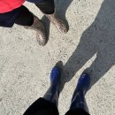 월하성어촌체험휴양마을 | 서천 월하성 어촌체험마을 갯벌체험장, 맛조개/조개잡이 체험 후기