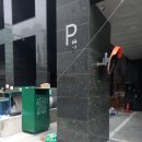 백악관성인나이트 이미지