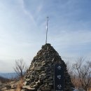 축령산 Daum카페