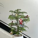 [10/20]가드닝 클래스 이미지