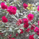 재경농장 이미지