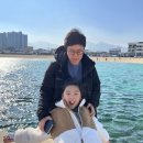 속초홍어 이미지