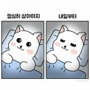 오감닭도리탕 이미지