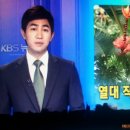 KBS 9시 뉴스(안동)-기후 온난화를 활용한 틈새 시장 개척(안동파파야농장 2014. 6. 9) 이미지