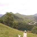 샤론목장 이미지