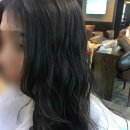 로이드밤 당리역점