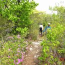 부산23산우회 불모산-굴암산 일주/2021.04.20 이미지