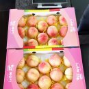 탑당구장 이미지