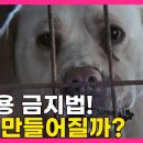 [사발통문] 드디어 때가 됐습니다. 여러분들의 작은 실천이 큰 보탬이 됩니다. 이미지