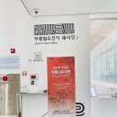 동해골재 | 2025 동해 무릉별유천지 라벤더축제 방문후기🪻