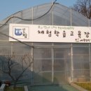 샤론유치원 이미지