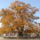 한재초등학교 이미지