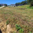 홍성공인중개사사무소 이미지