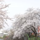 강원도청반비어린이집 이미지