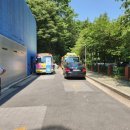 오렌지펫살롱 이미지