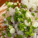 삼우삼천포 이미지