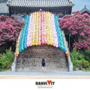 꽃을담다 - 광양시 와룡길 33 | 꽃을담다