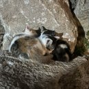 산정호수글램핑 이미지