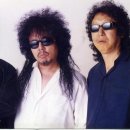 들국화 카카오 검색결과