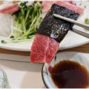 본참치 이미지