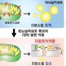 소립에너지 세계일보