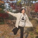 유선 카카오 검색결과