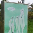 청하이스턴C.C 네이버블로그