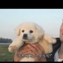 씨유 동탄역카림점 | 전 좌석 리클라이너 영화관, "동탄역 메가박스"