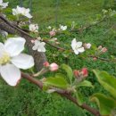 이경희농장 이미지