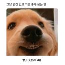 심원마트 | 아기다리고기다리던
