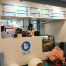 차르도르 애견카페 이미지