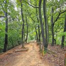 봉제산 무궁화공원 이미지