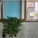 당진부동산중개사무소 이미지