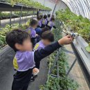 참자연 어린이집 이미지