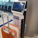 명월재 | 제주 독채펜션 "명월재" 12명 대가족 3박 4일 제주여행 솔직후기