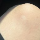 서울성모항정유외과의원 이미지