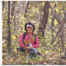 머루다래 이미지