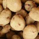 금촌농약사 이미지