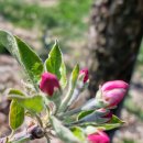 삼삼농장 이미지