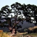 남해-276 이미지