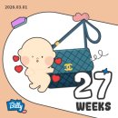 젤리캣 | 임신 중후기(27주~31주) 임산부 일상(고은빛 문화센터...베이비파스텔 강동 만삭촬영,서울아산병원 태동...