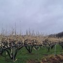 낙원농장2 이미지