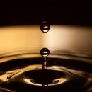 뮤즈의원 이미지