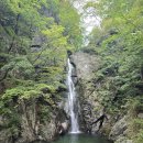 수철리 | 충북 단양 소백산 가을산행 희방사 연화봉 어의곡 등산코스