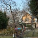 초락나루팬션&글램핑 | 당진 숙소 바베큐 무한리필 초락나루펜션 글램핑