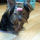 우리집 첫째 이미지