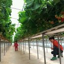 기역농장 이미지