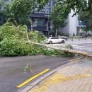 일공공일안경(금천점) 이미지