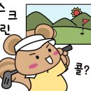 하바나스크린골프