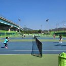 영강체육공원 테니스장 이미지